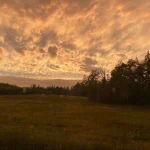 Meet your Posher, Kolin